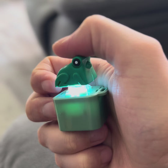 light-up frog keychain